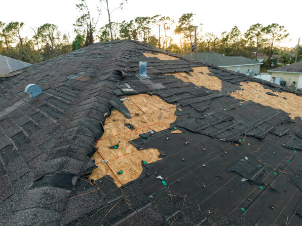 Best Roof Ventilation Installation  in Susanville, CA